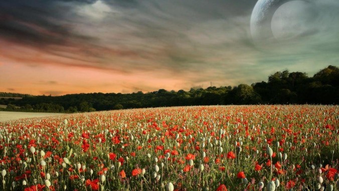 <b>如何评价 Next.js？</b>